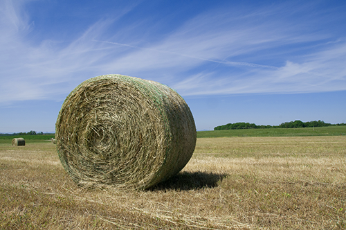 hay-bale