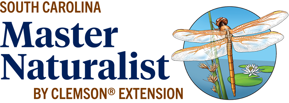 south carolina master naturalist by clemson extension