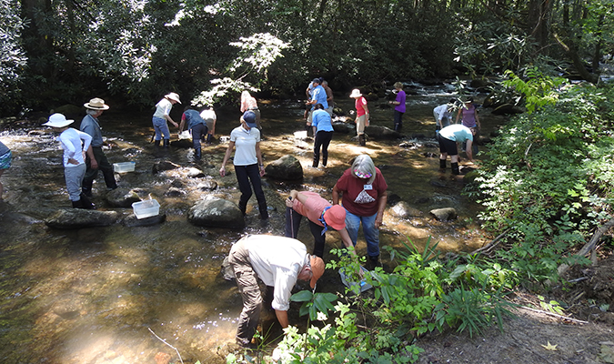 Master Naturalist Class participants collecting aquatic macroinvertebrates from the Middle Saluda River