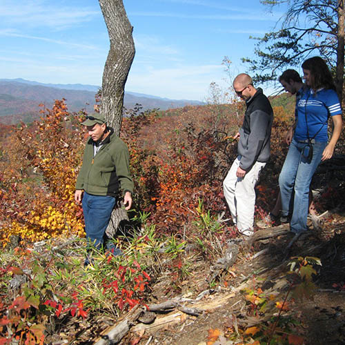 A group hiking on a mountain trail