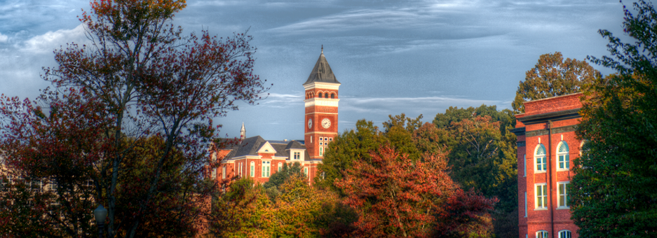 Working at Clemson