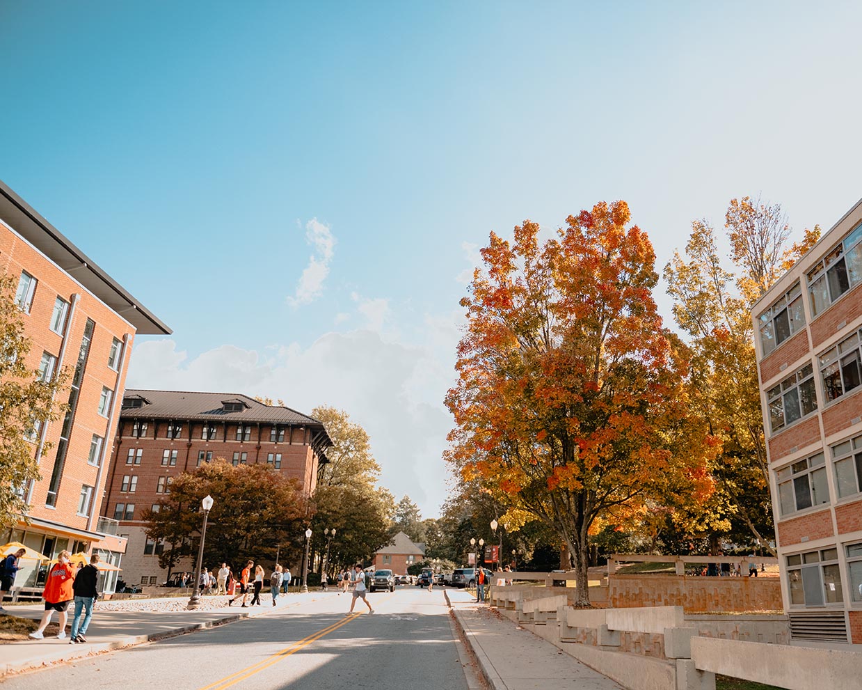 Clemson Campus with Bright Fall Trees