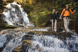 Conceptual image of teachers in scenic area.