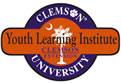 Youth Learning Institute