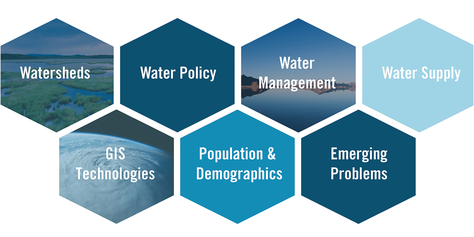 honeycomb graphic of 7 research areas