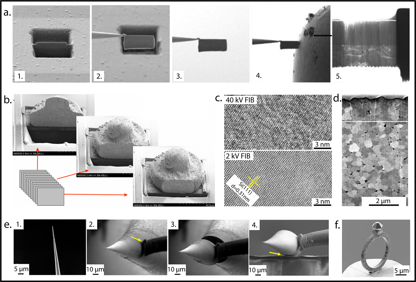 Nanodue't Double Beam Microscope - NB5000