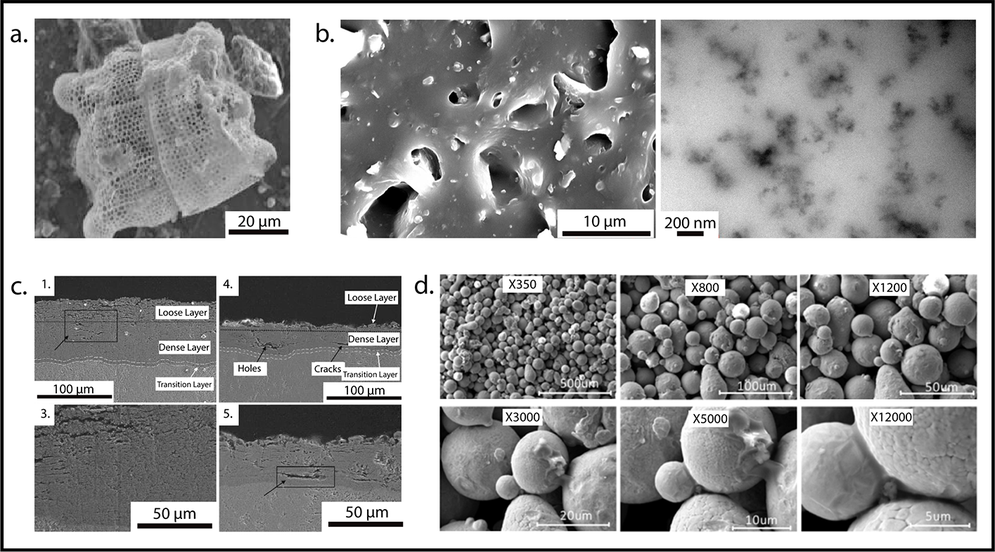 Variable Pressure Scanning Electron Microscope - S3400