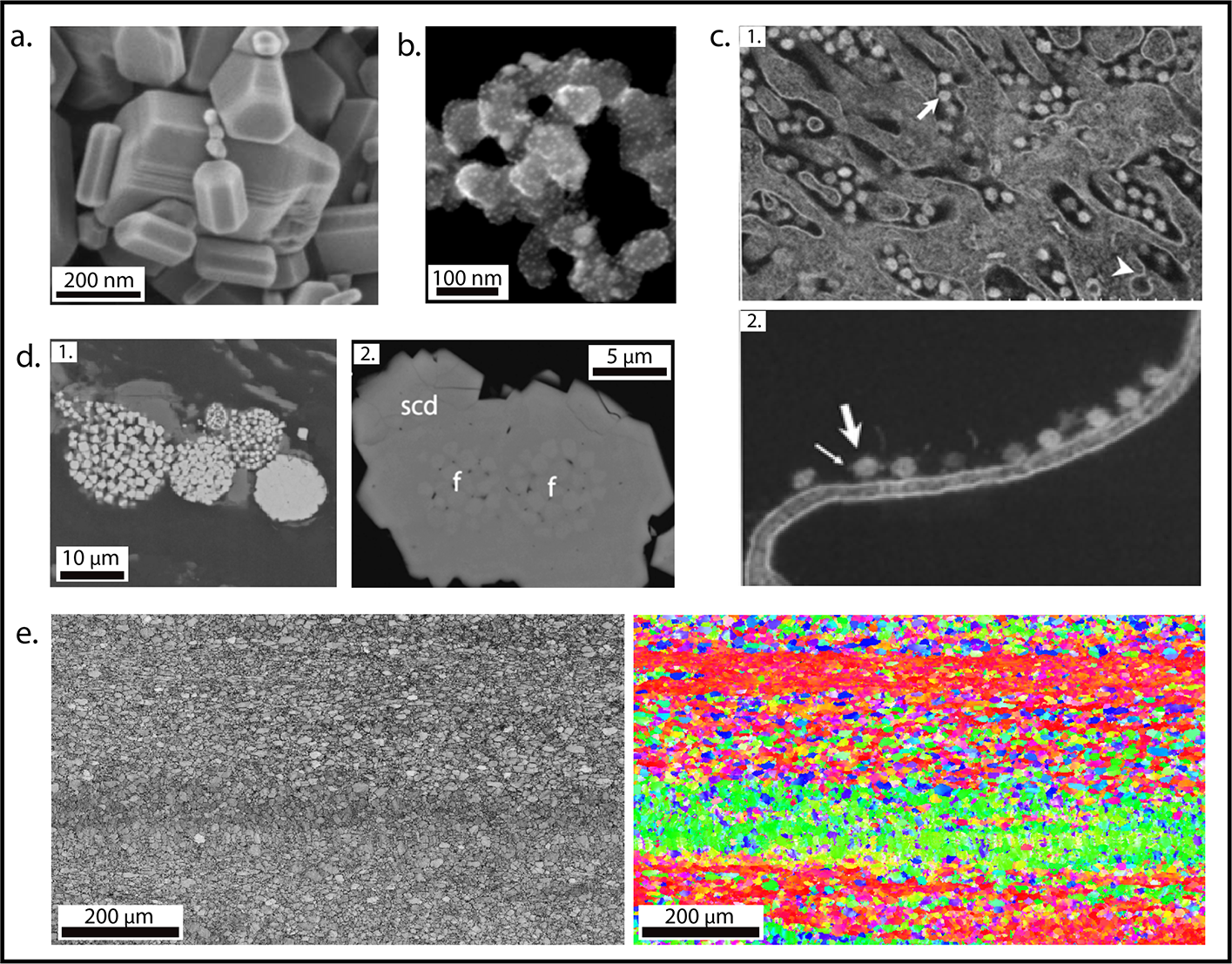 Variable Pressure Scanning Electron Microscope - SU5000