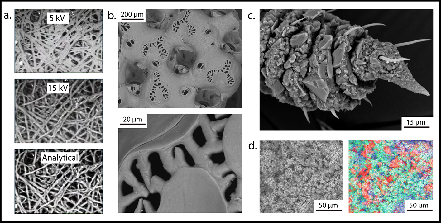 Tabletop Variable Pressure Scanning Electron Microscope -TM3000