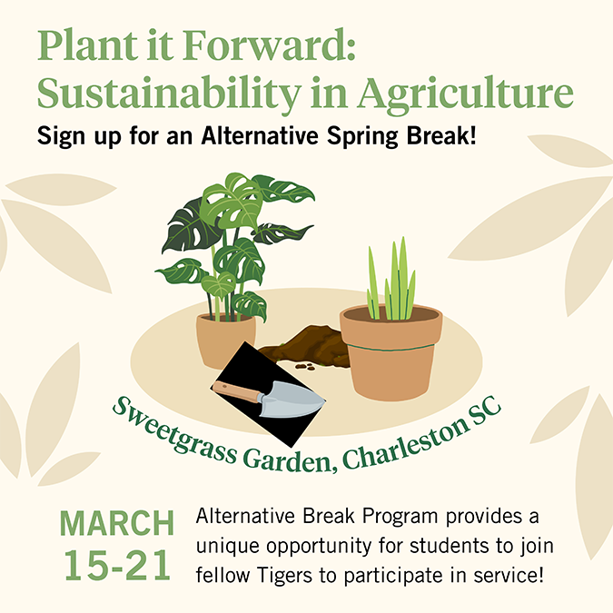 Plant it Forward: Sustainability in Agriculture, Sign up for Alternative Spring Break! March 15-21, Sweetgrass Garden, Charleston. SC