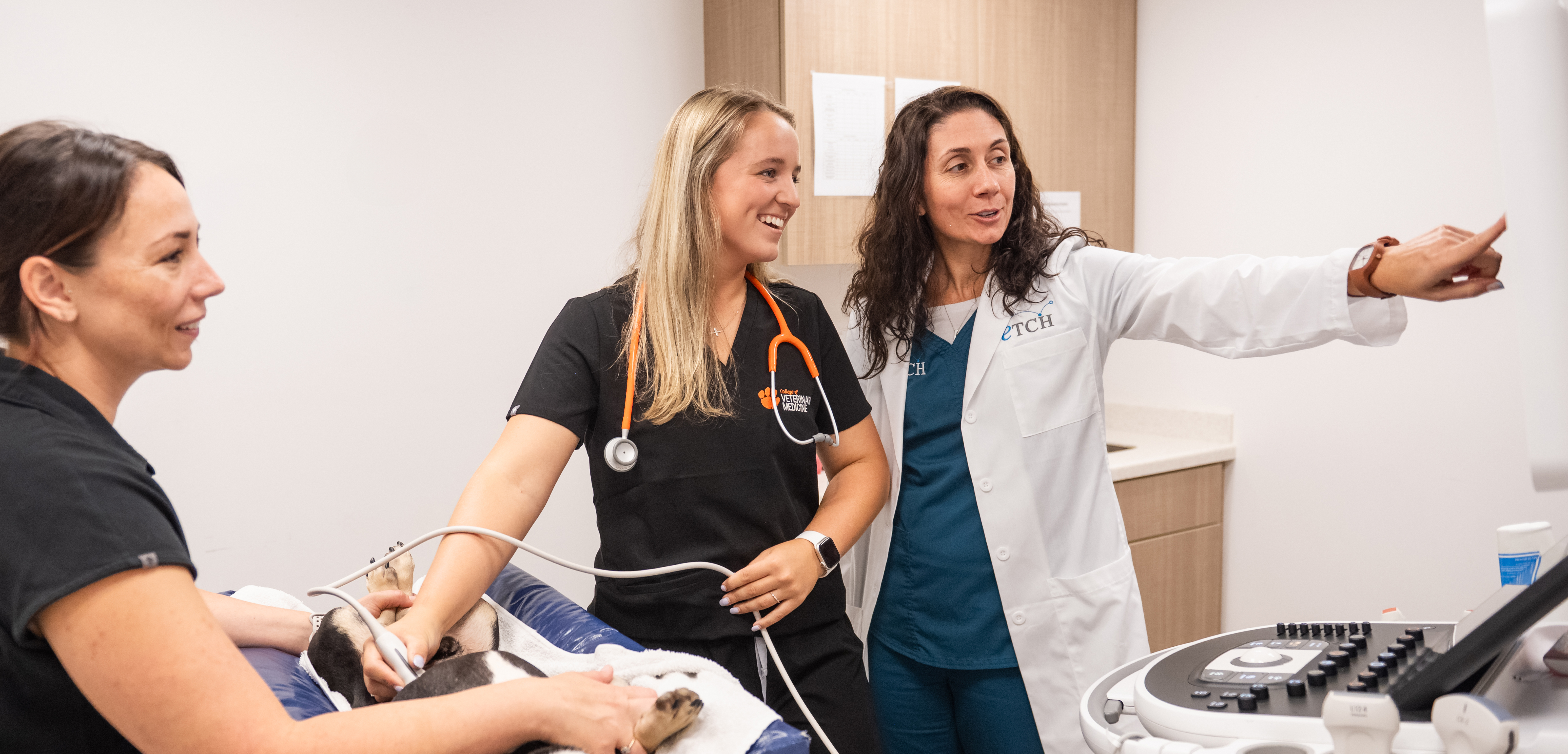 Female student in scrubs working alongside a veterinarian to perform an ultrasound.