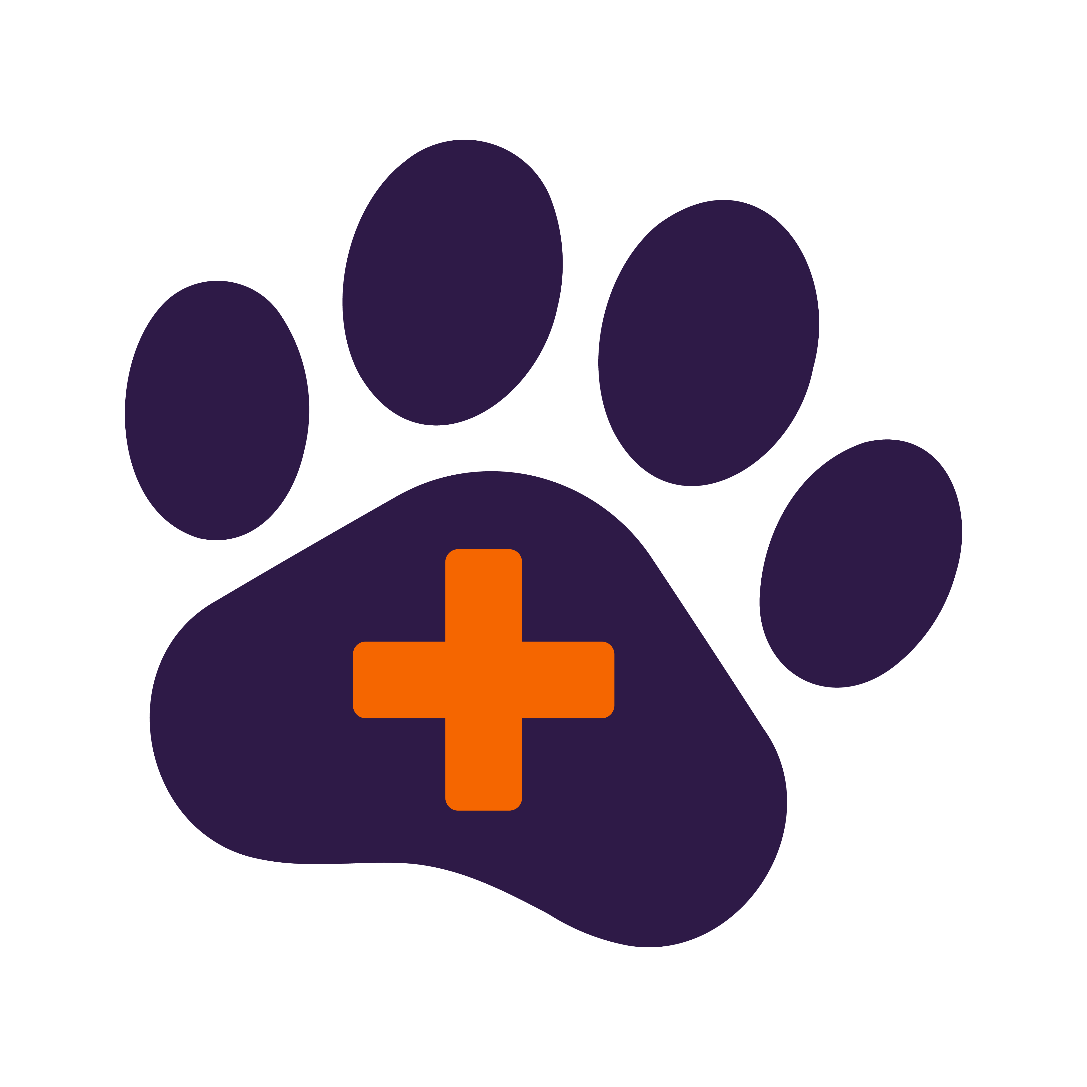 Icon of a paw with a medical "plus" symbol within.