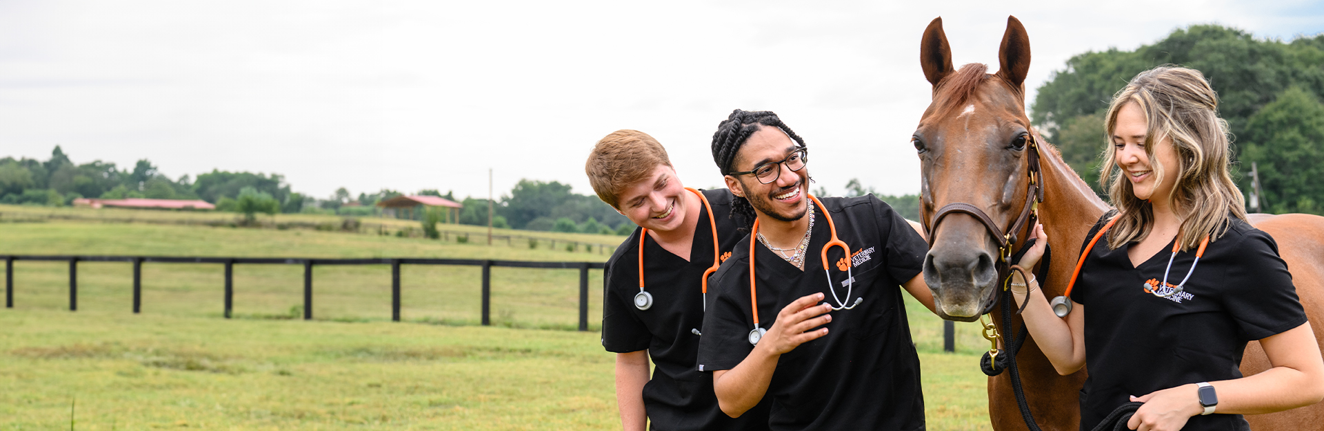 Students wearing scrubs in a field with a horse.