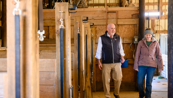 College of Veterinary Medicine Dean, Dr. Steve Marks, walking with a woman past horse stalls in an equine barn.