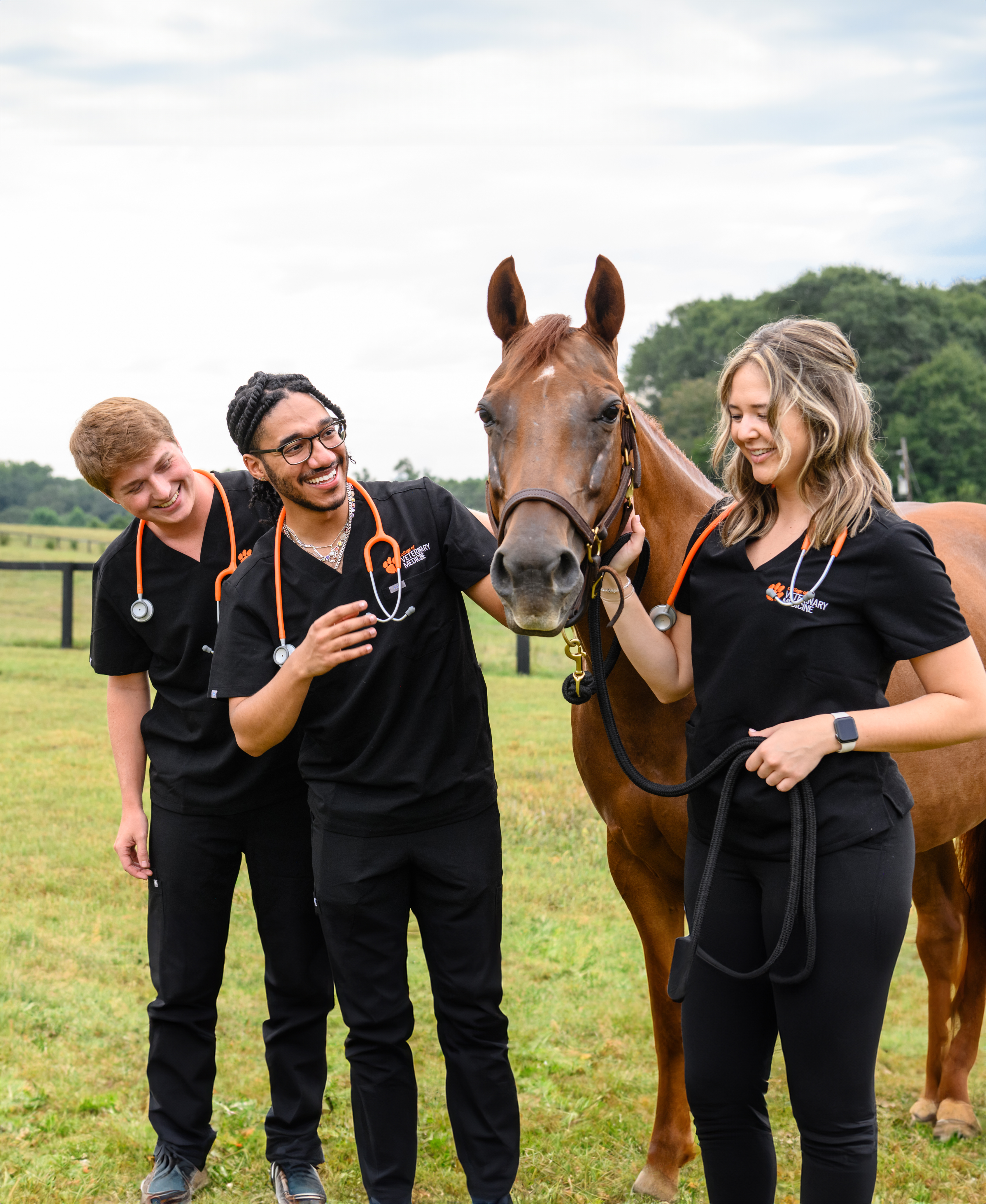 Students wearing scrubs in a field with a horse.