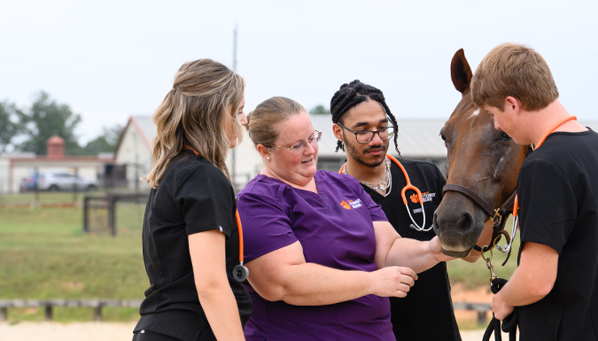 College of Veterinary Medicine veterinarian Emily Waggoner instructing students about equine while on the equine farm.